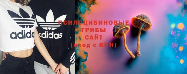 мдпв Мегион