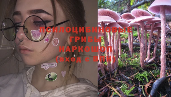 MESCALINE Медвежьегорск