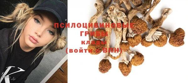 мдпв Мегион